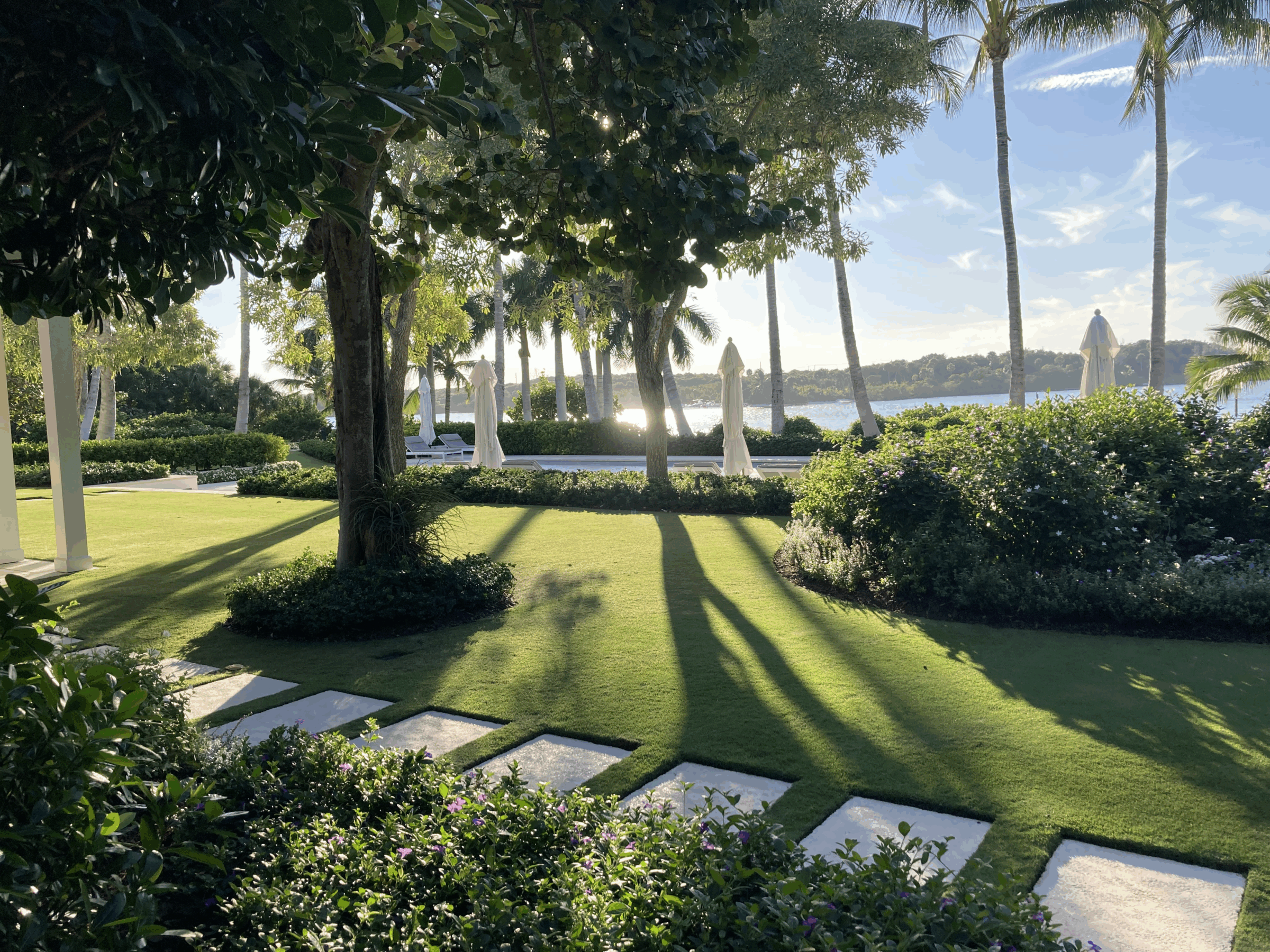 Lush garden with palm trees and river view. Sun casts long shadows on the green grass. Umbrellas stand closed, under a clear sky.
