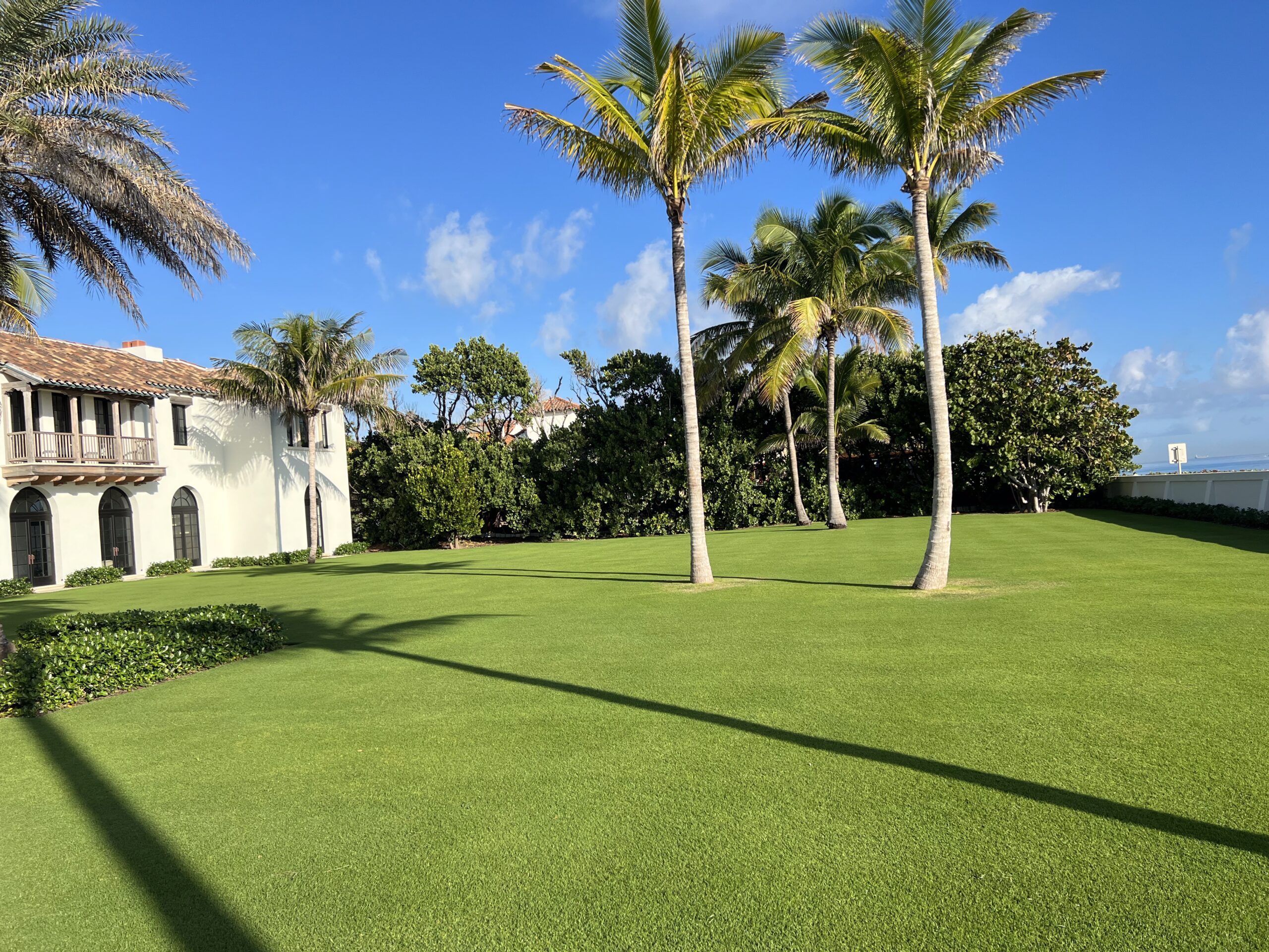 A lush green lawn bordered by palm trees, adjacent to a building with arched windows and terracotta roof under a clear blue sky.