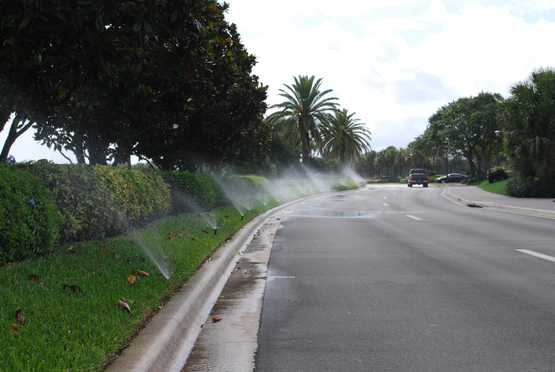 A landscaped road with palm trees and irrigation sprinklers on. Cars drive along the curve, with lush greenery lining the sidewalk.