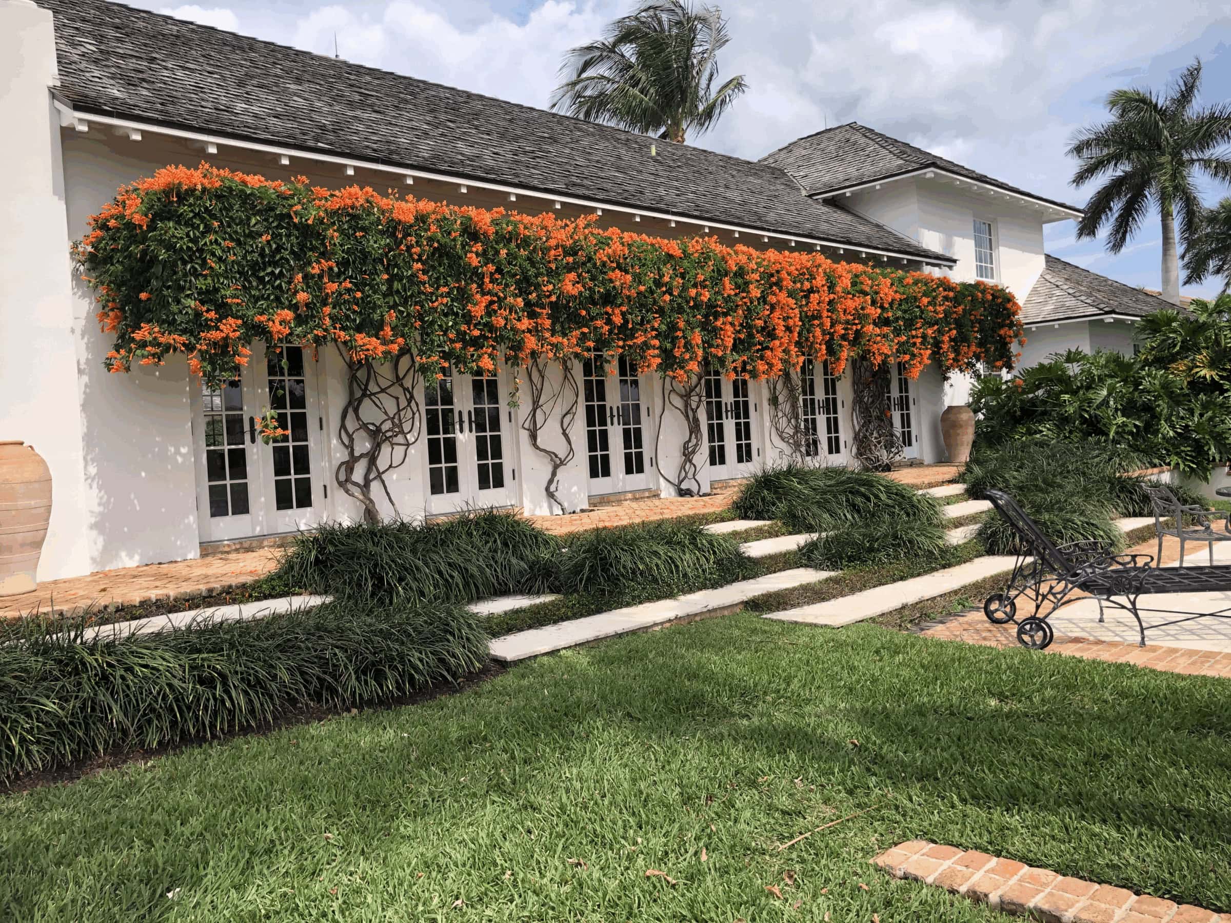 White building with orange flowering vines, lush green grass, and palm trees. Decorative wrought iron chairs are placed around a brick patio.