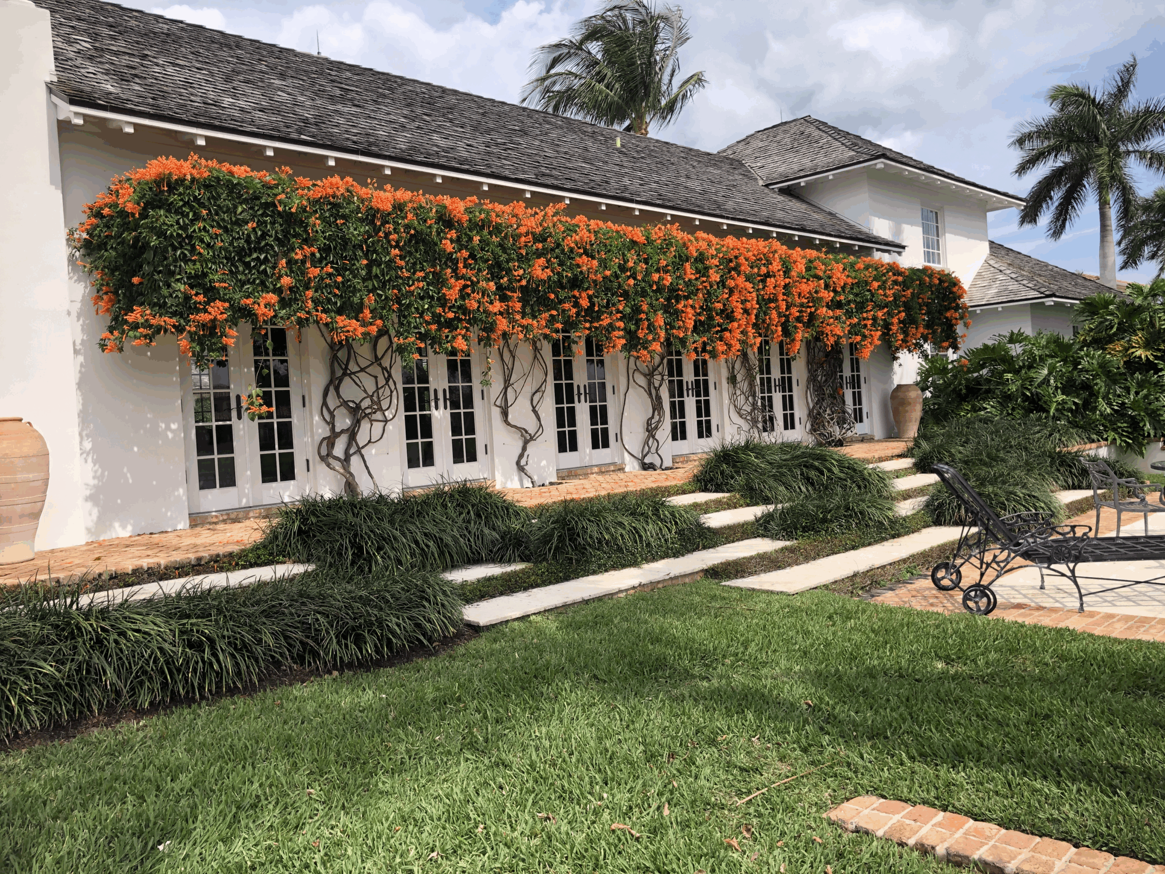 White building with orange flowering vines, lush green grass, and palm trees. Decorative wrought iron chairs are placed around a brick patio.