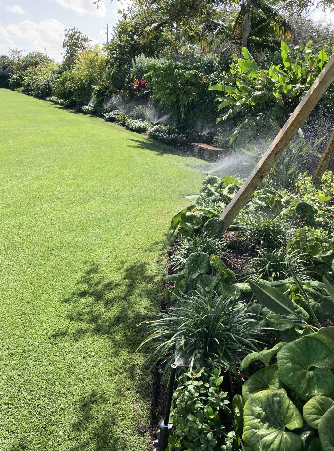 A lush garden with vibrant green grass and a variety of plants, bordered by trees, is being watered by sprinklers under sunlight.
