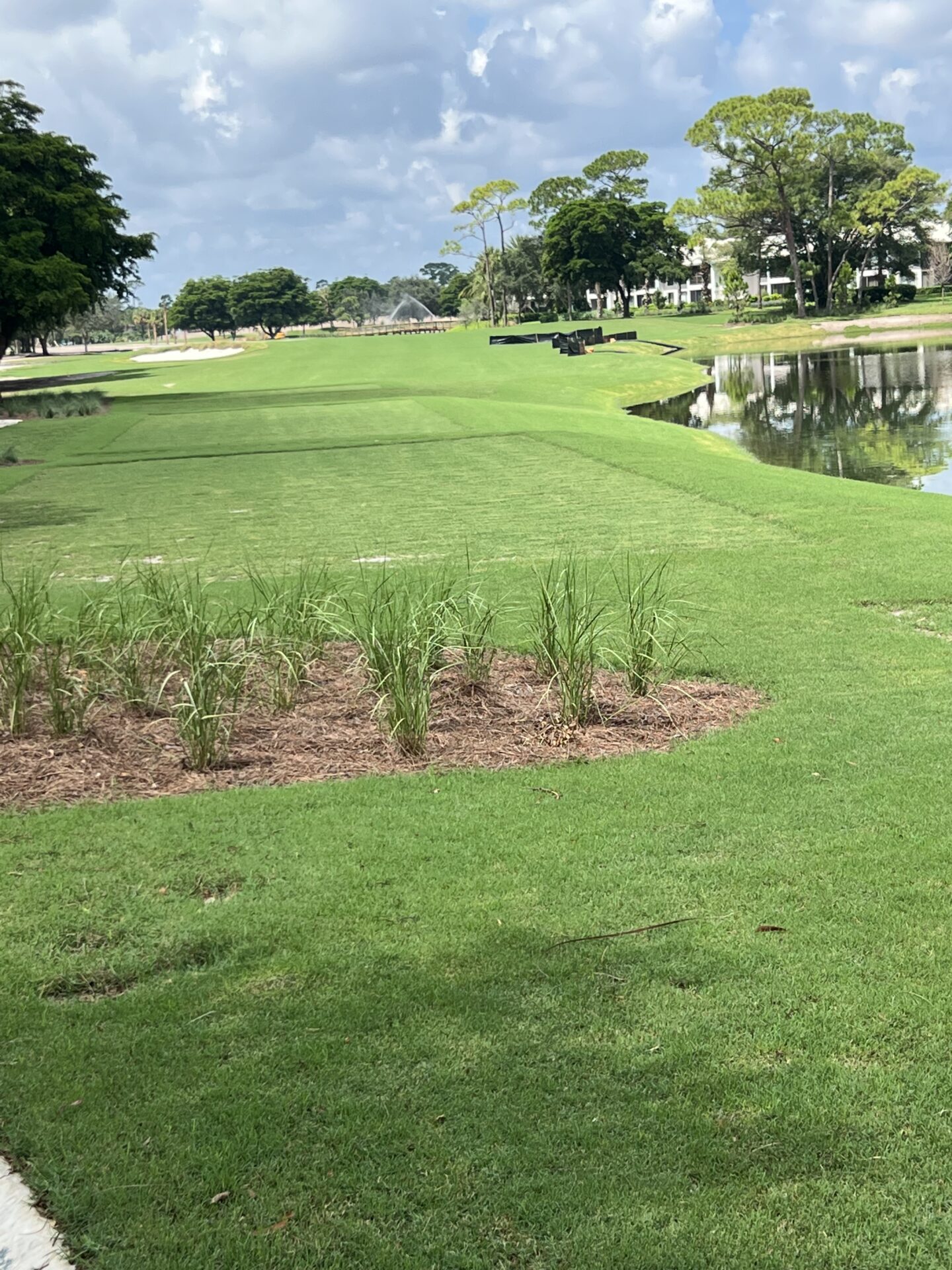 A lush golf course features green grass, a small lake, trees, and a water fountain beneath a cloudy blue sky.