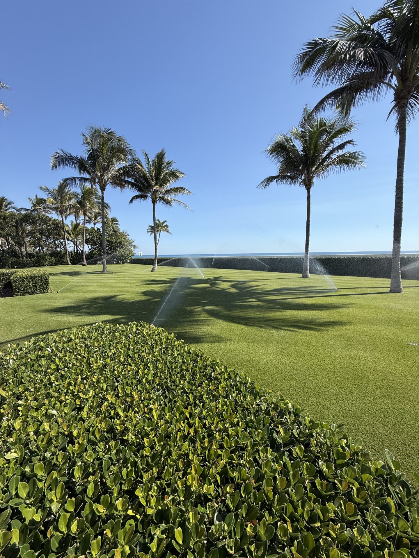 Lush green lawn with palm trees and sprinklers under a clear blue sky. Manicured landscape near the ocean. No visible landmarks.