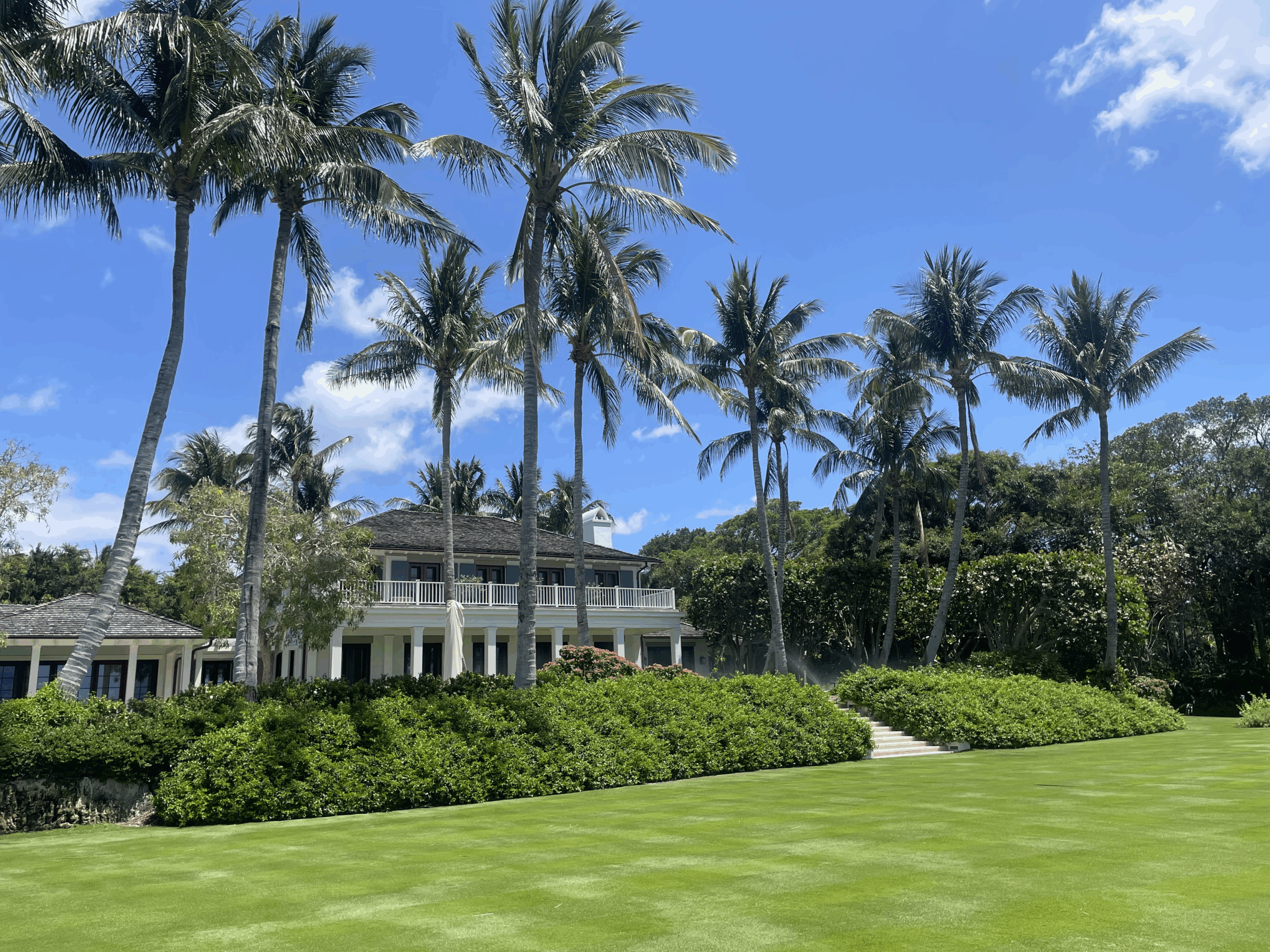 Palm trees surround a large, elegant house with white columns and lush greenery under a bright blue sky. No people visible.