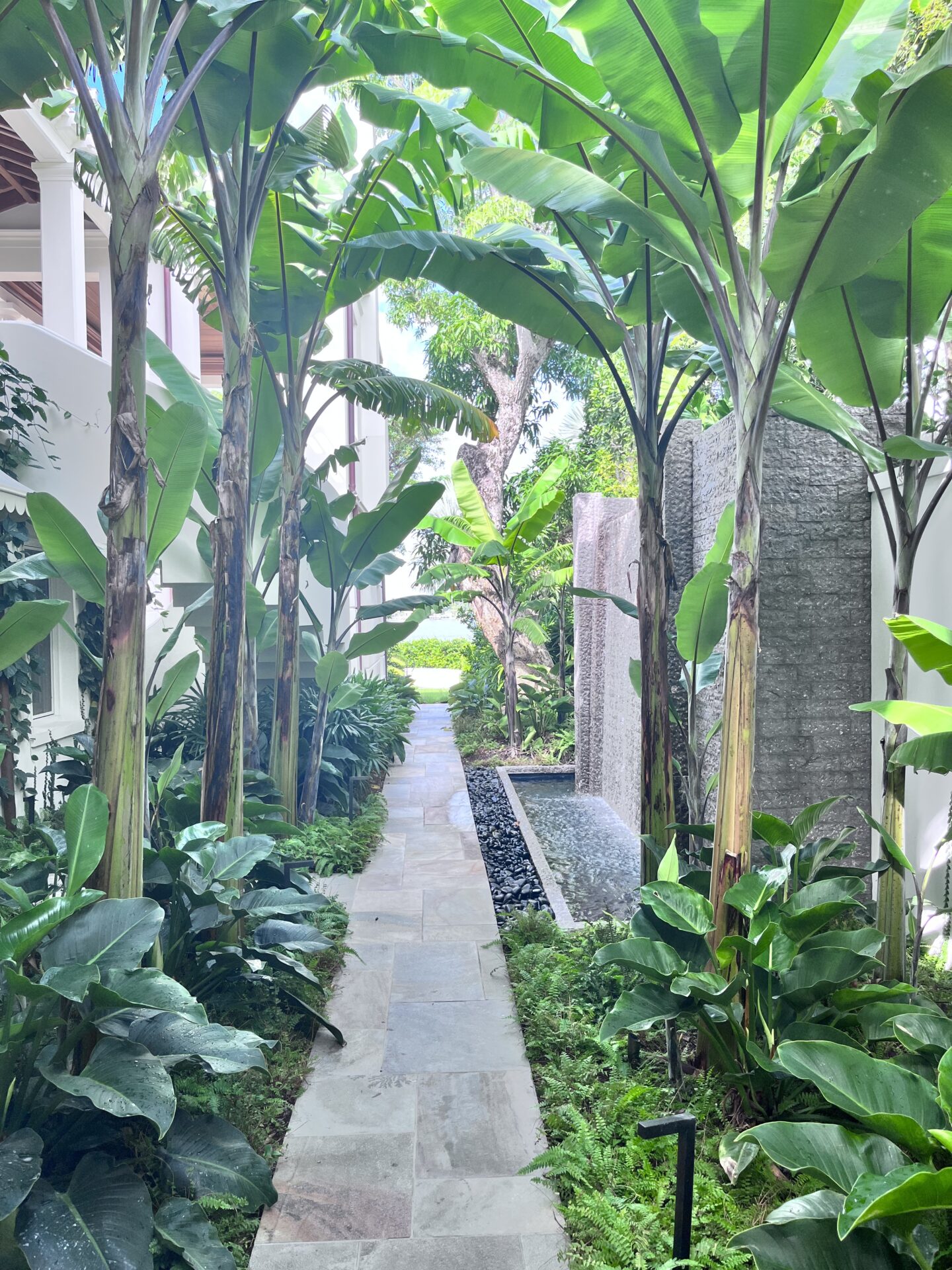A lush garden path features tropical plants, a stone walkway, and a water feature, set between contemporary white buildings under bright sunlight.