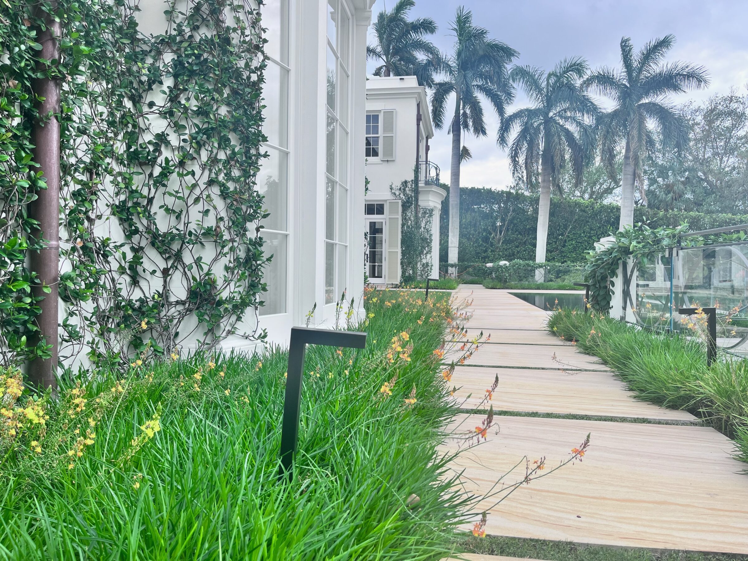A modern white building with ivy-covered walls, a wooden pathway, and lush greenery. Palm trees enhance the serene, tropical atmosphere.