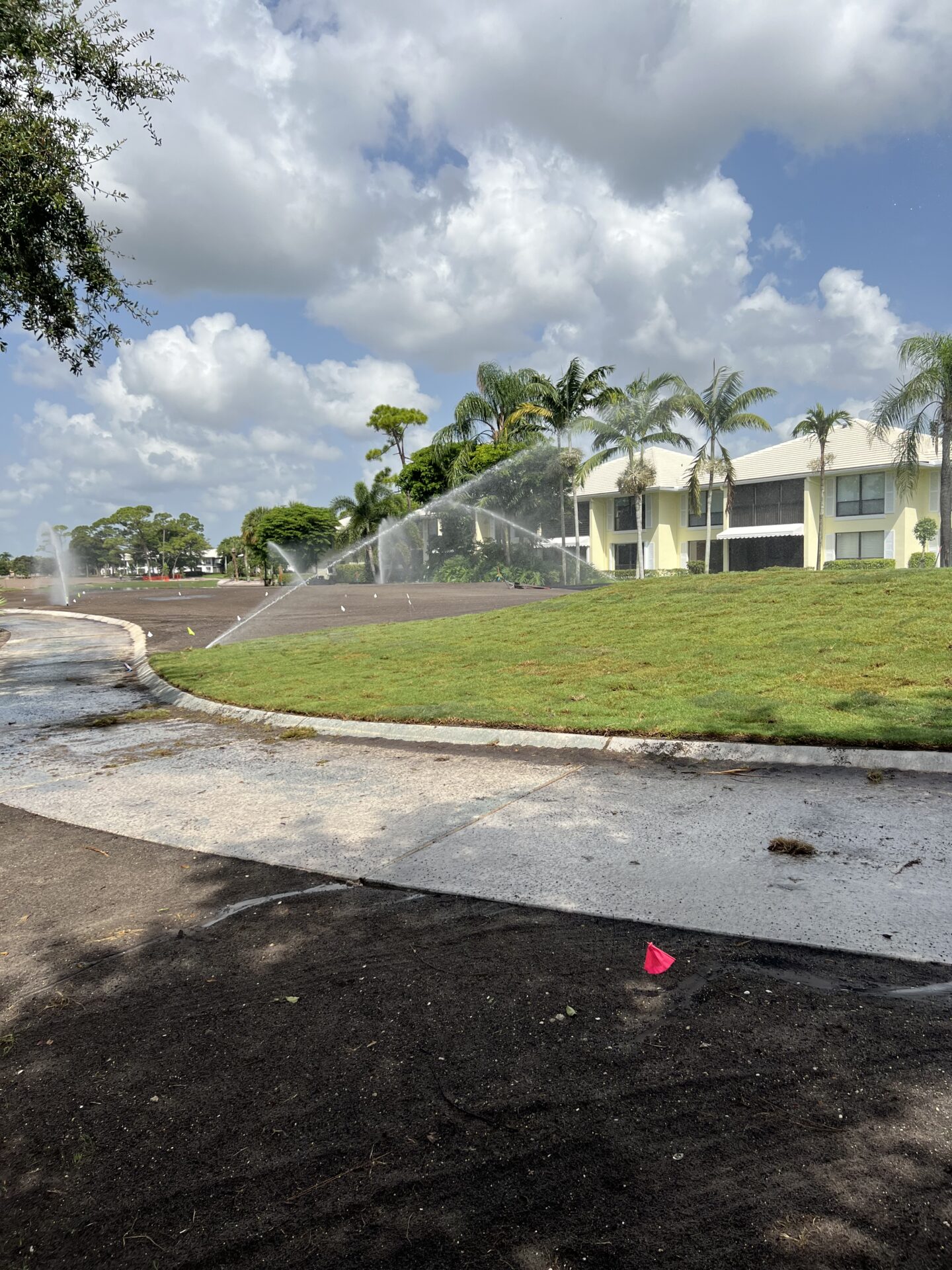 A sunny day in a suburban area, showing sprinklers watering a lawn next to a paved pathway. Palm trees and clouds enhance the scene.