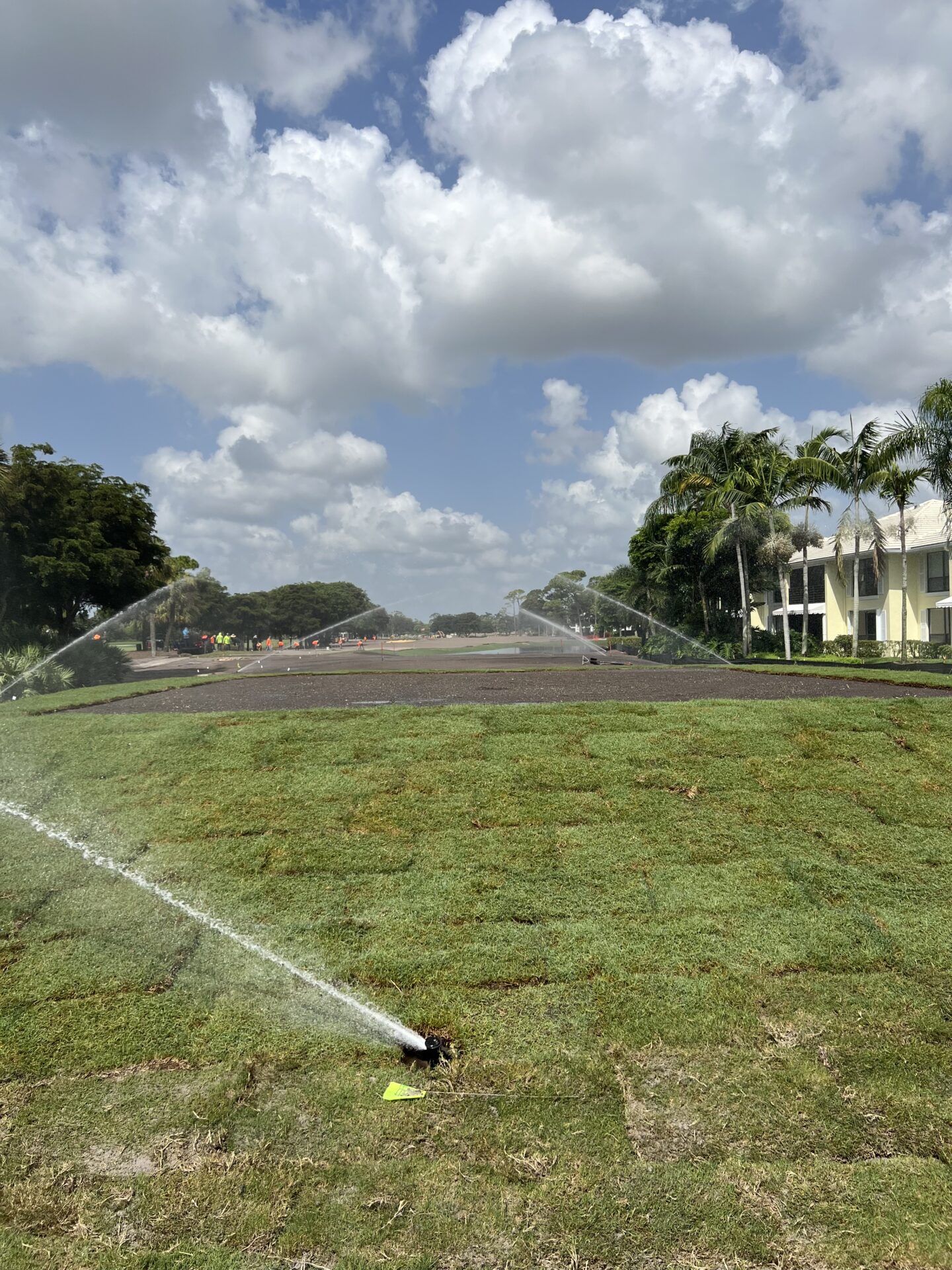 Sprinklers water freshly laid grass under a partly cloudy sky. A construction area is visible in the distance near trees and a building.