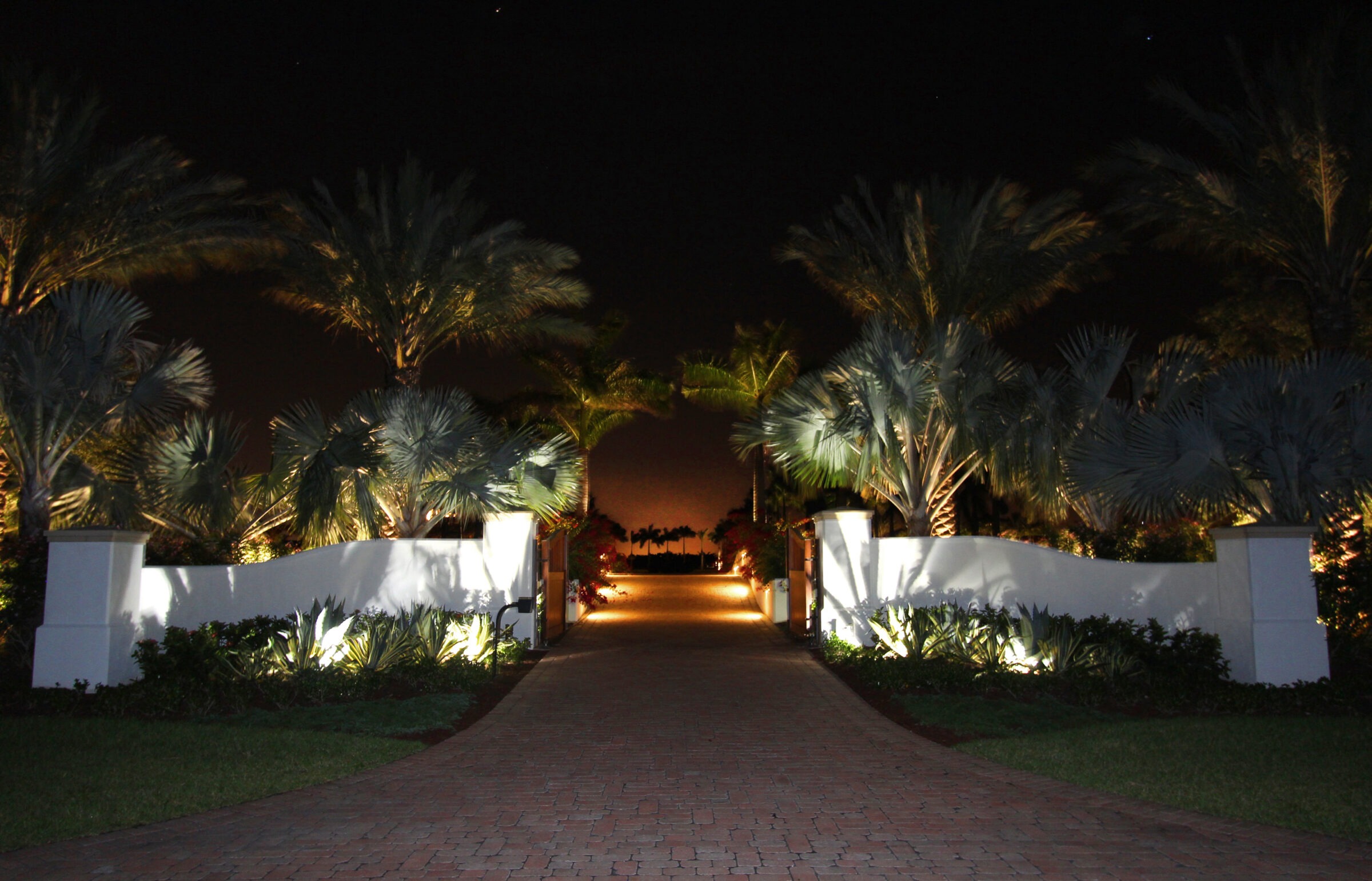Illuminated pathway lined with palm trees and white walls, leading into a dark, tropical night sky. Lush greenery accents the entrance.