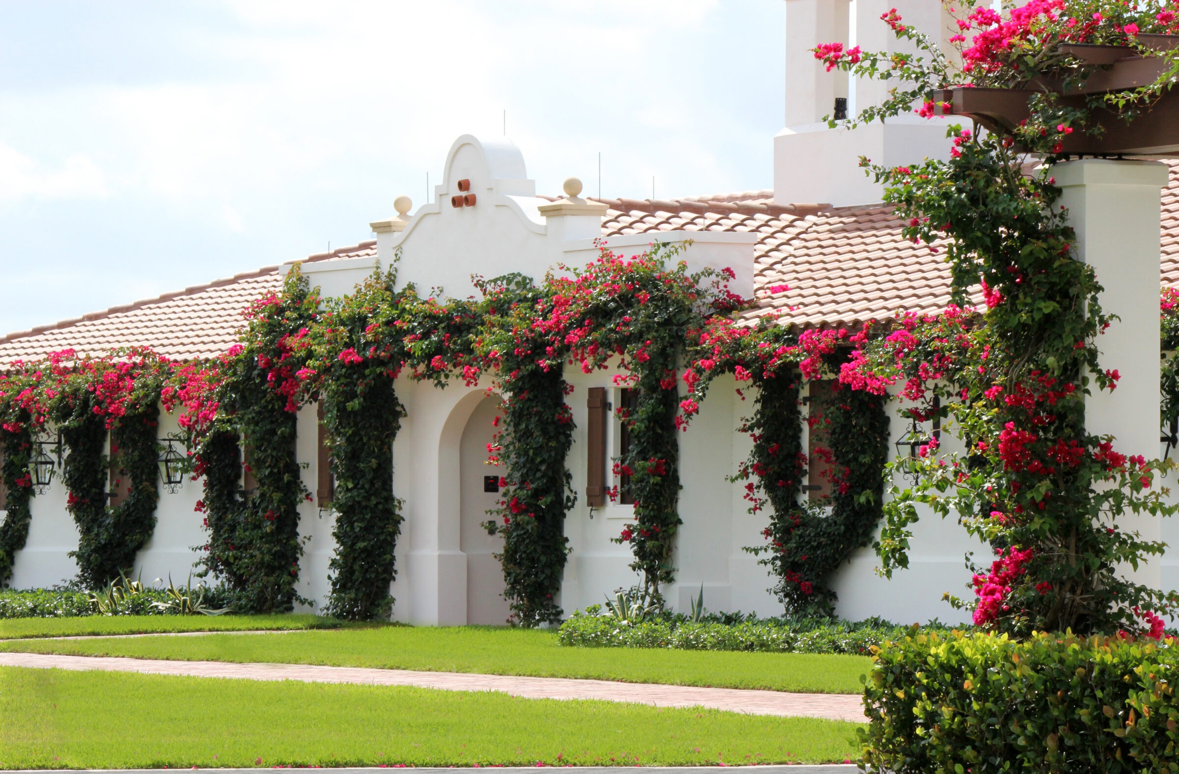 A white building with terra cotta roof, adorned with vibrant pink bougainvillea, surrounded by lush green lawn and hedges, under a clear sky.