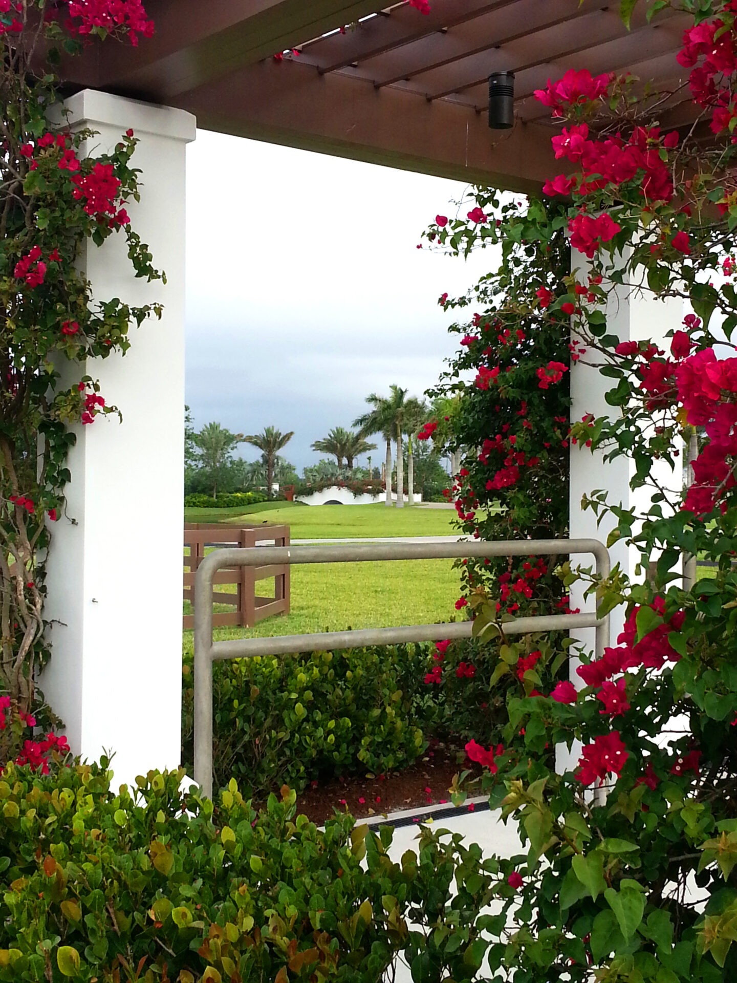 A pergola adorned with vibrant red flowers frames a view of lush greenery and palm trees under a cloudy sky.