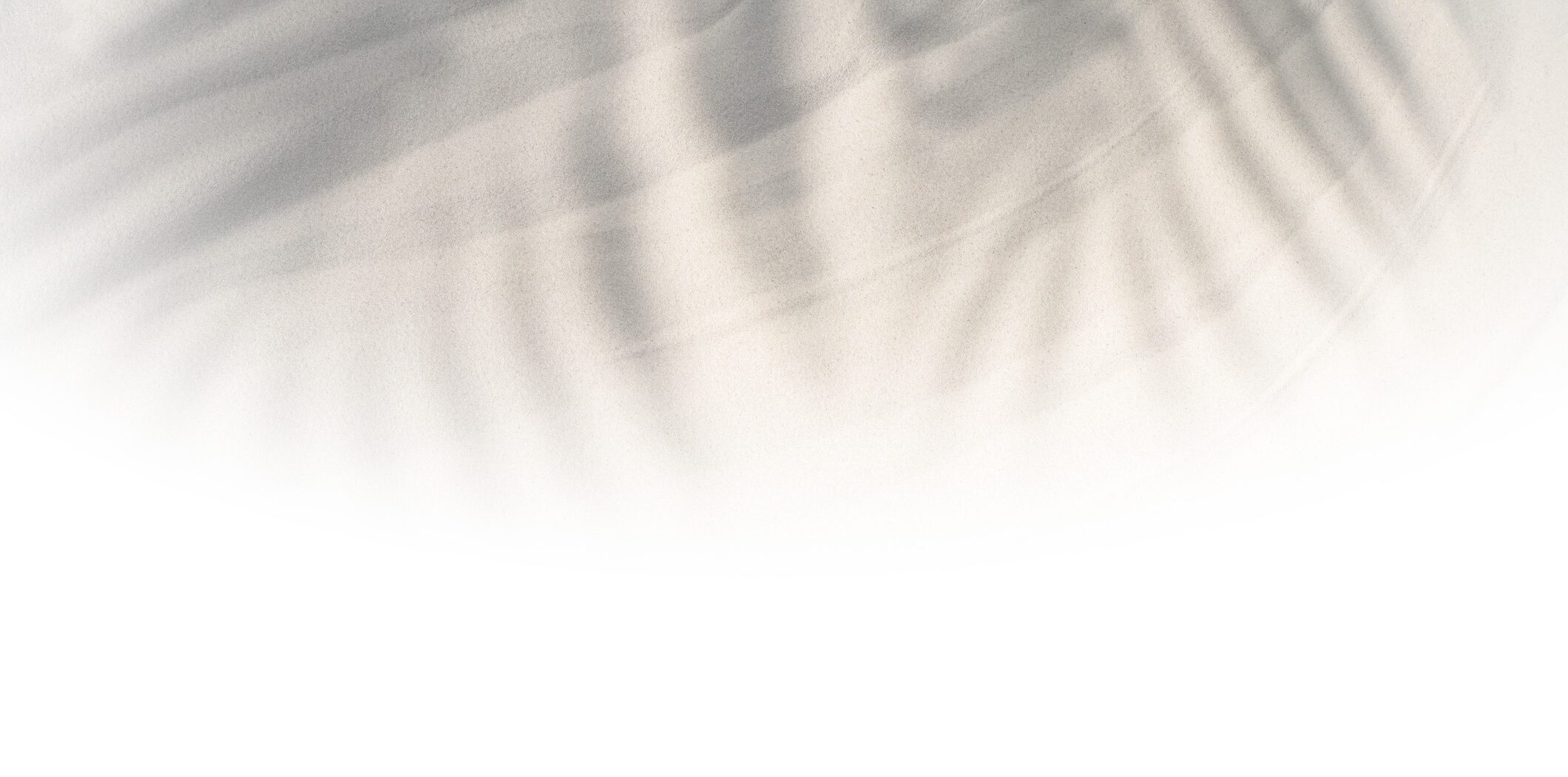 A soft-focus scene with blurred lines resembling tree shadows on a smooth, light surface. No landmarks or people are visible.