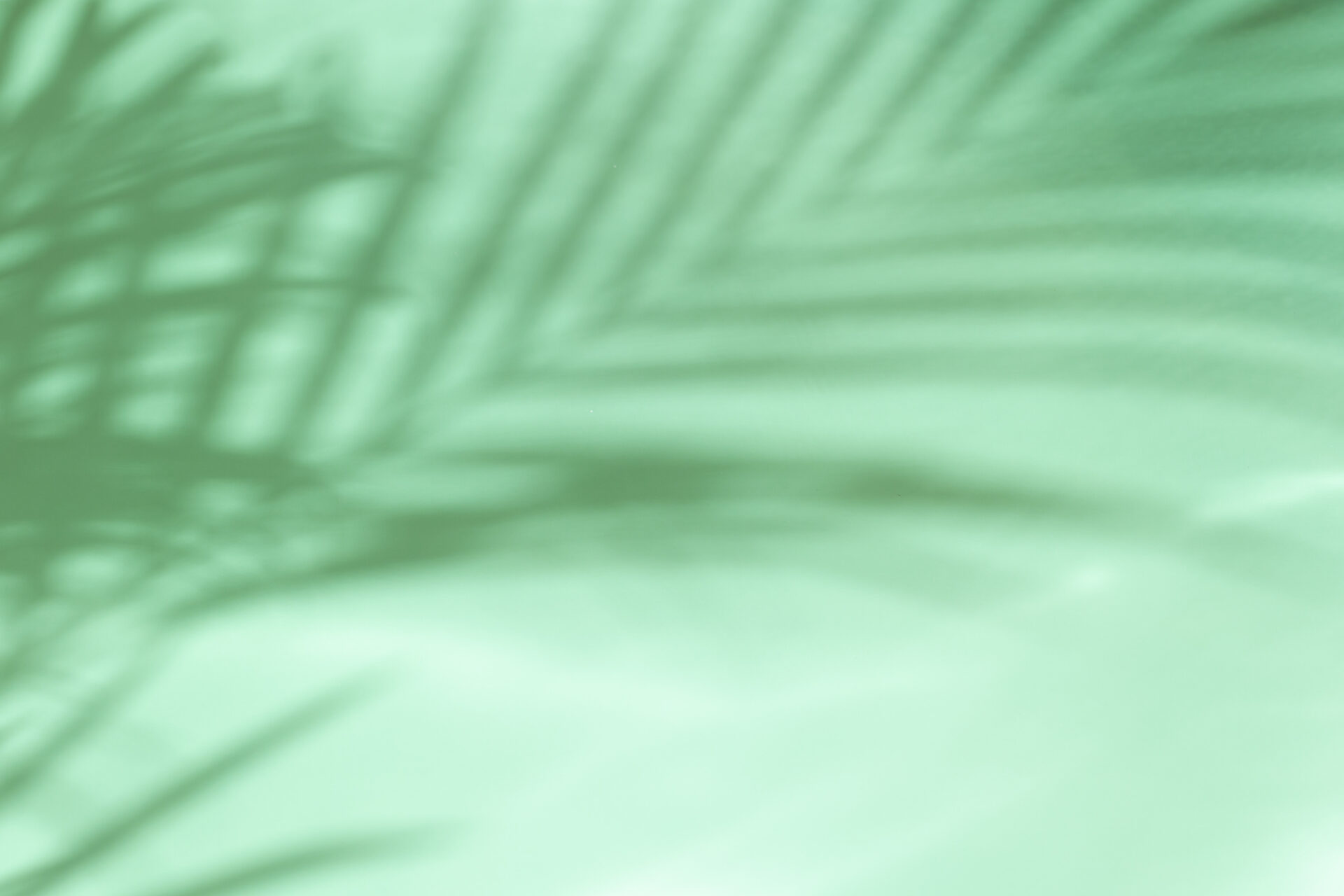 The image shows a soft, green background with shadows of palm leaves, creating an abstract, tropical effect without people or landmarks.