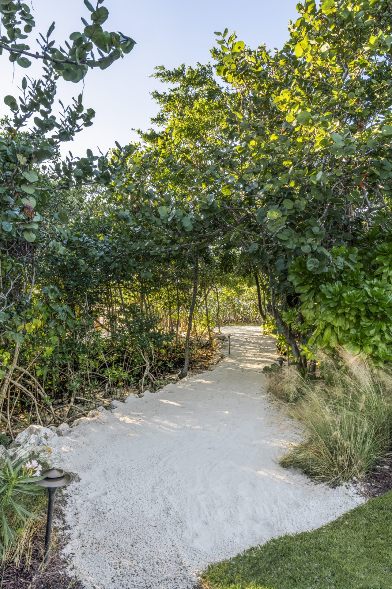 A serene sandy pathway meanders through lush green foliage, dappled with sunlight, leading to an inviting, sunlit clearing ahead. No people are visible.
