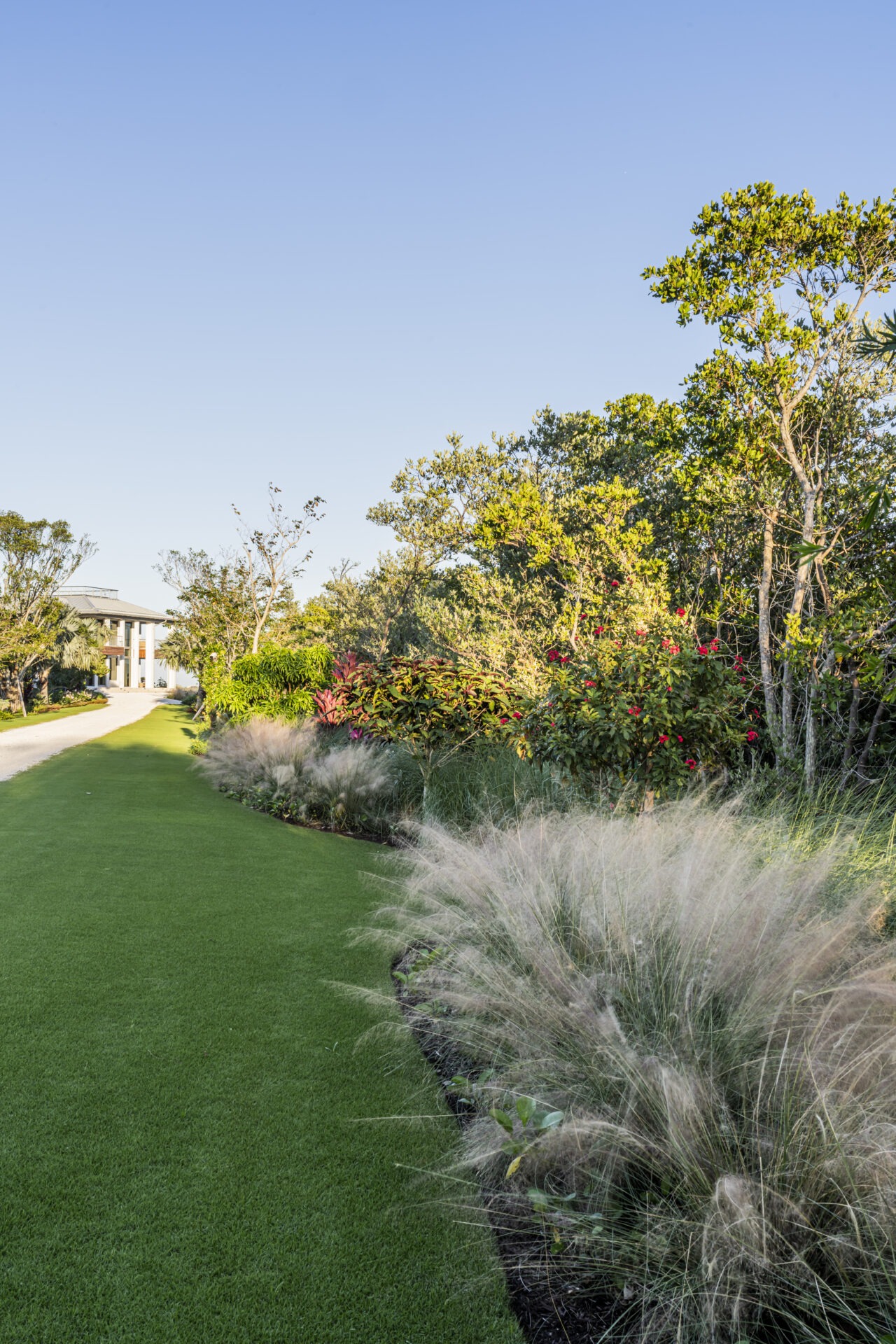 A lush garden with green grass, ornamental plants, and a well-maintained path beside a house under a clear blue sky.