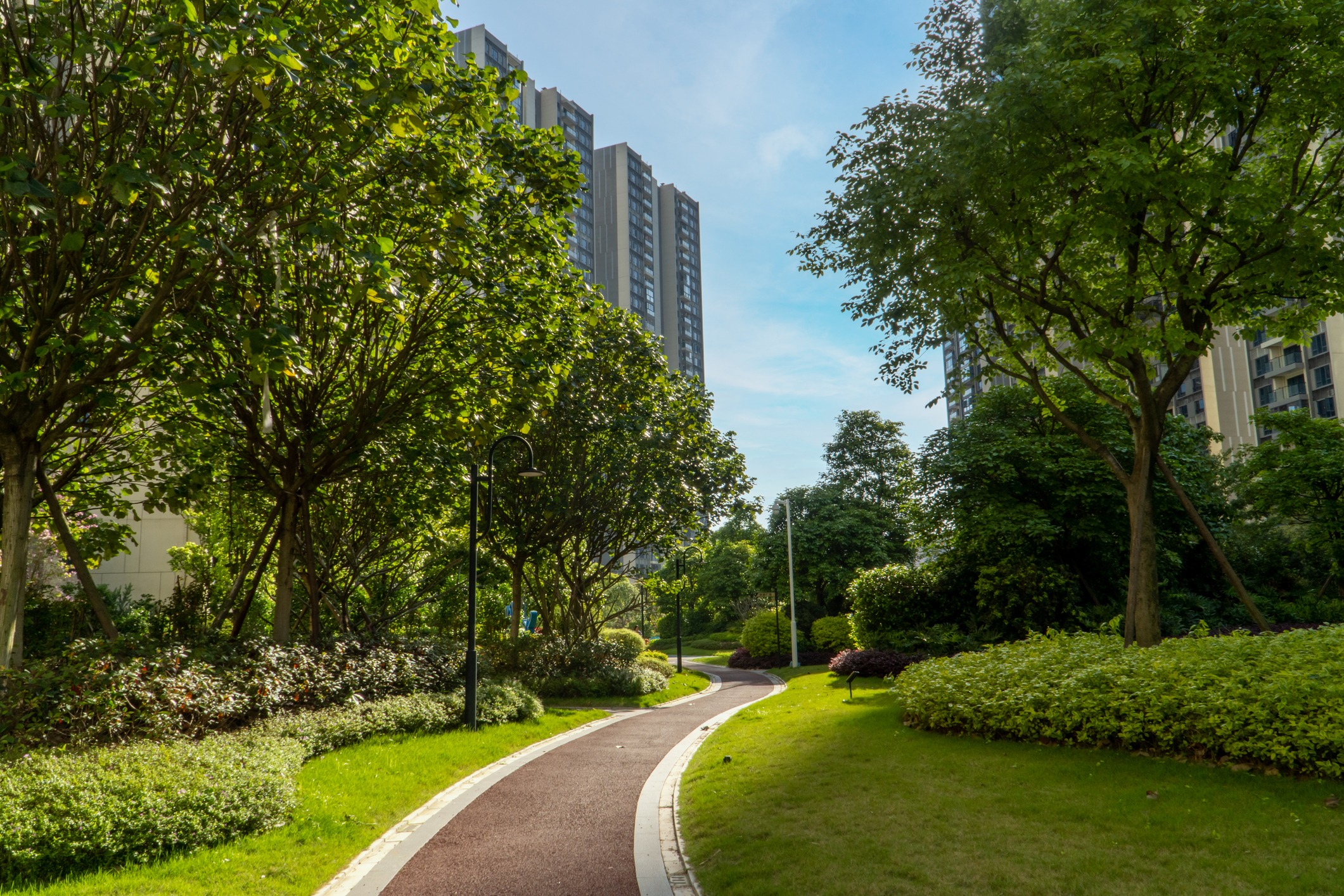 A winding path through a lush park with tall trees, landscaped gardens, and adjacent modern high-rise buildings under a clear blue sky.