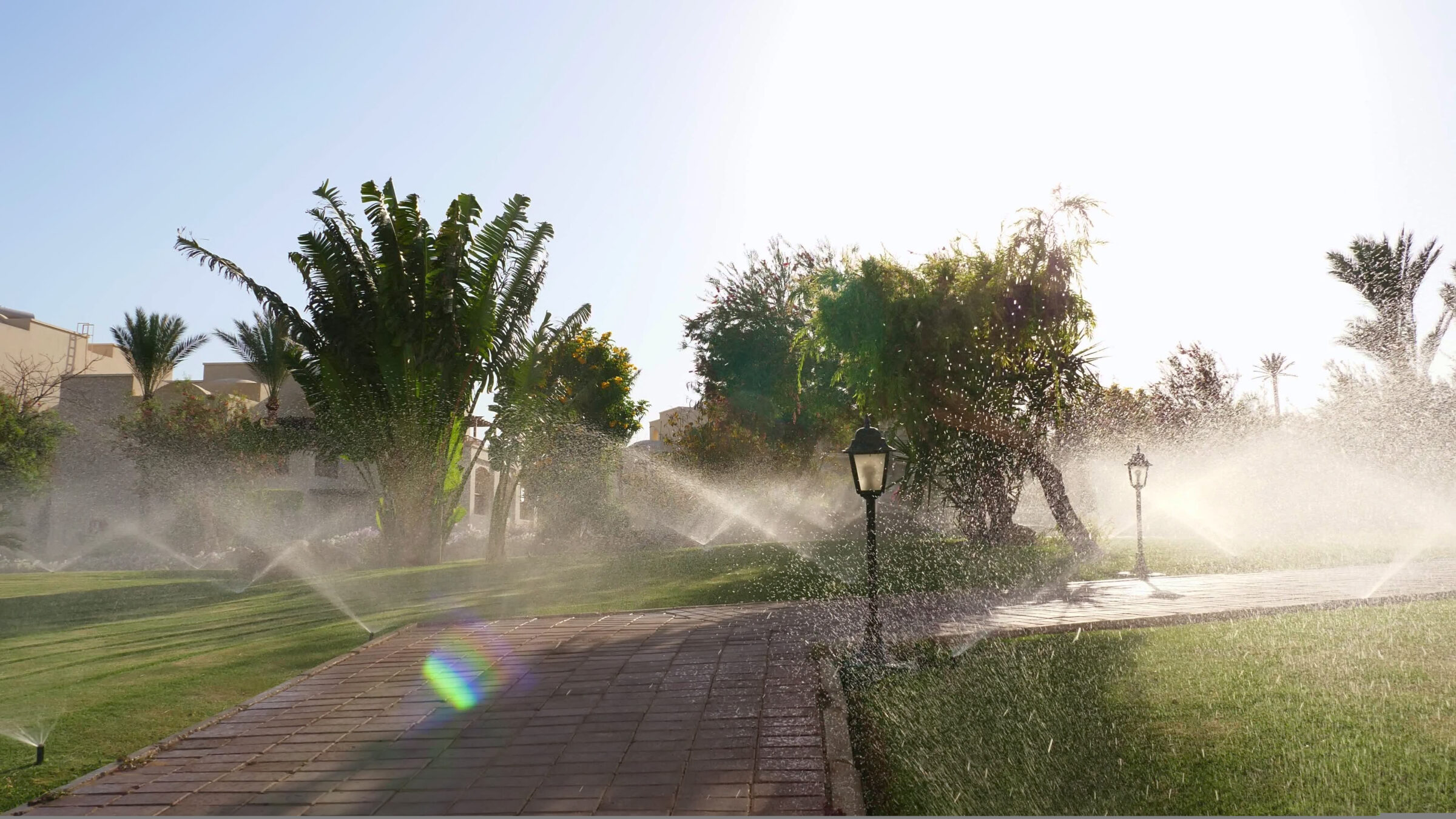 Sunlit garden with sprinklers watering lush green lawn, surrounded by palm trees and a stone pathway, creating a serene and refreshing atmosphere.