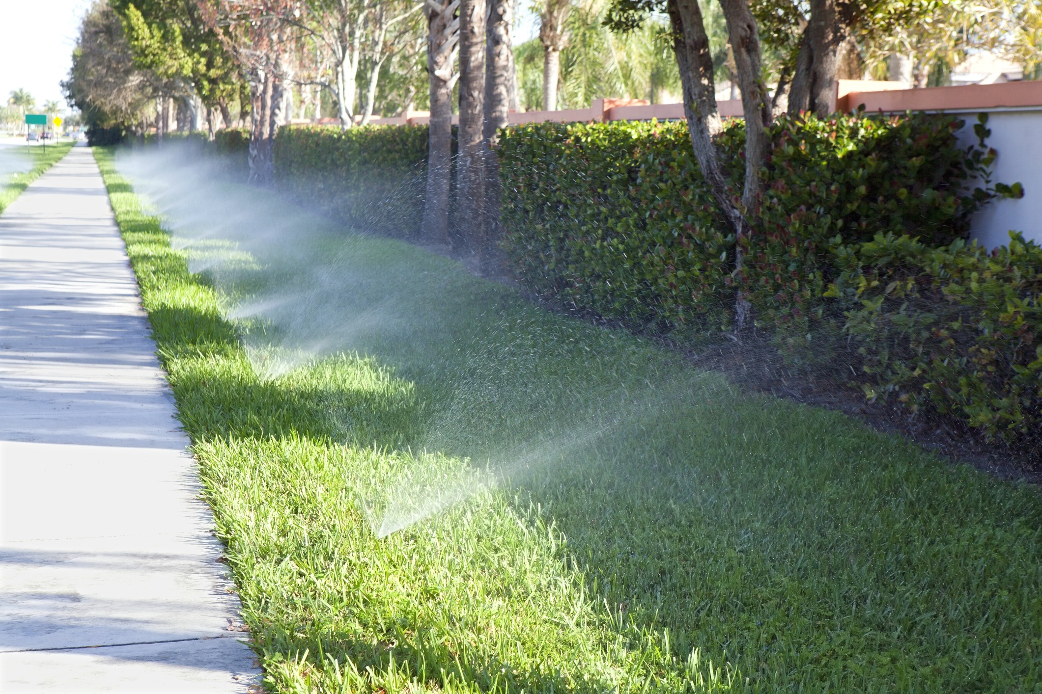 A sidewalk and adjacent grassy area with sprinklers actively watering, surrounded by trees and shrubs on a sunny day.