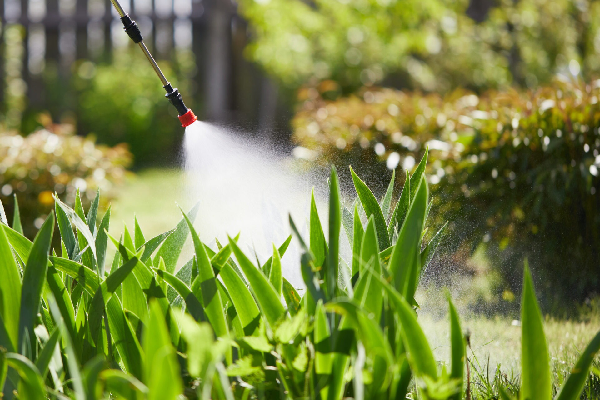 A sprayer nozzle releases mist over vibrant green plants in a sunny garden, with blurred foliage background and sunlight highlighting the scene.