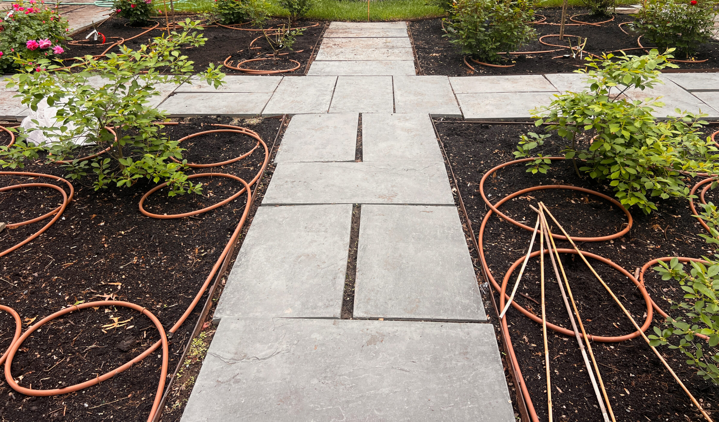 Stone garden pathway surrounded by plants and irrigation hoses, with neatly arranged soil beds and green foliage, creating a serene garden atmosphere.