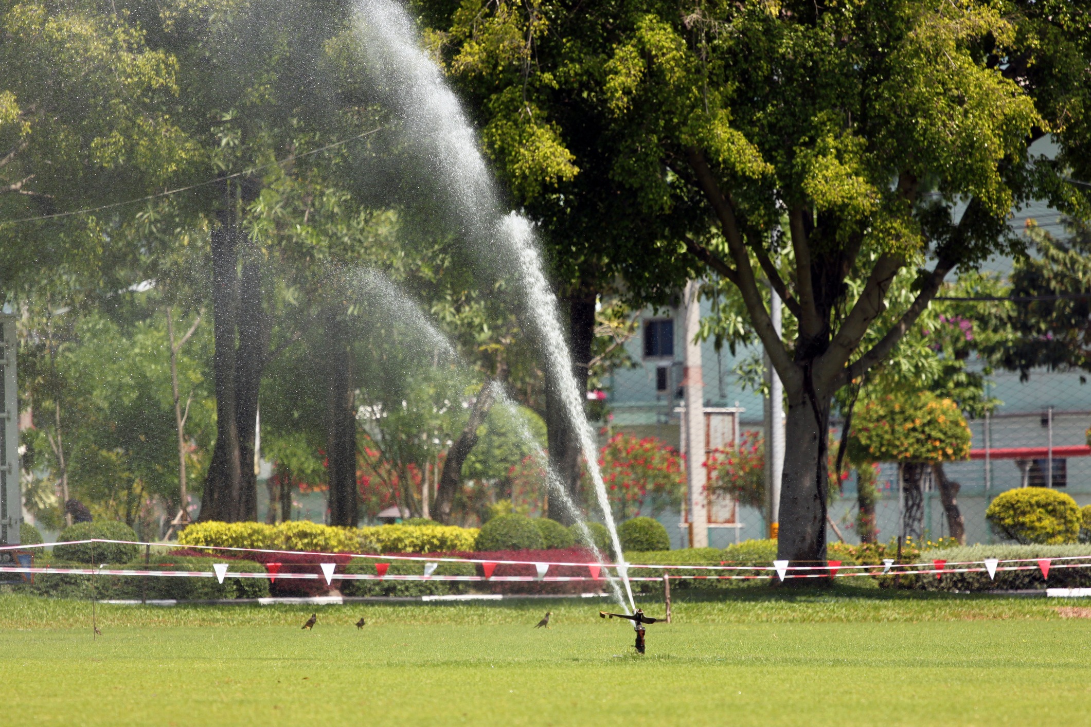 A sprinkler waters a grassy field surrounded by lush trees, with caution tape and a person in the background.
