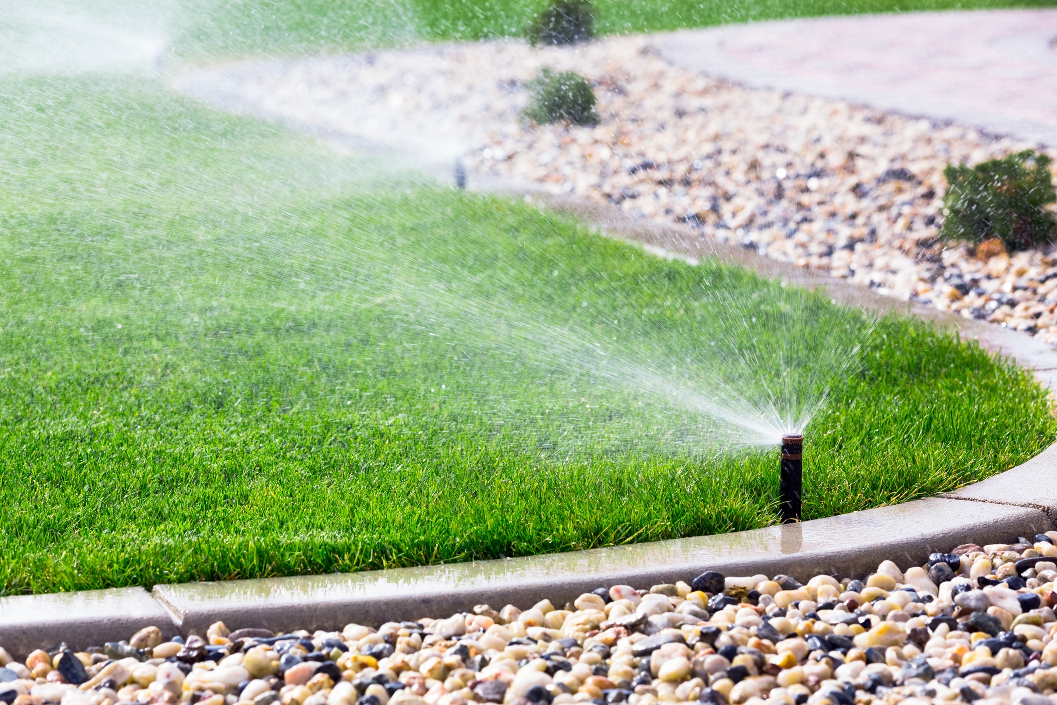 A sprinkler waters a vibrant green lawn bordered by stones, with sunlight reflecting off the grass and water droplets.