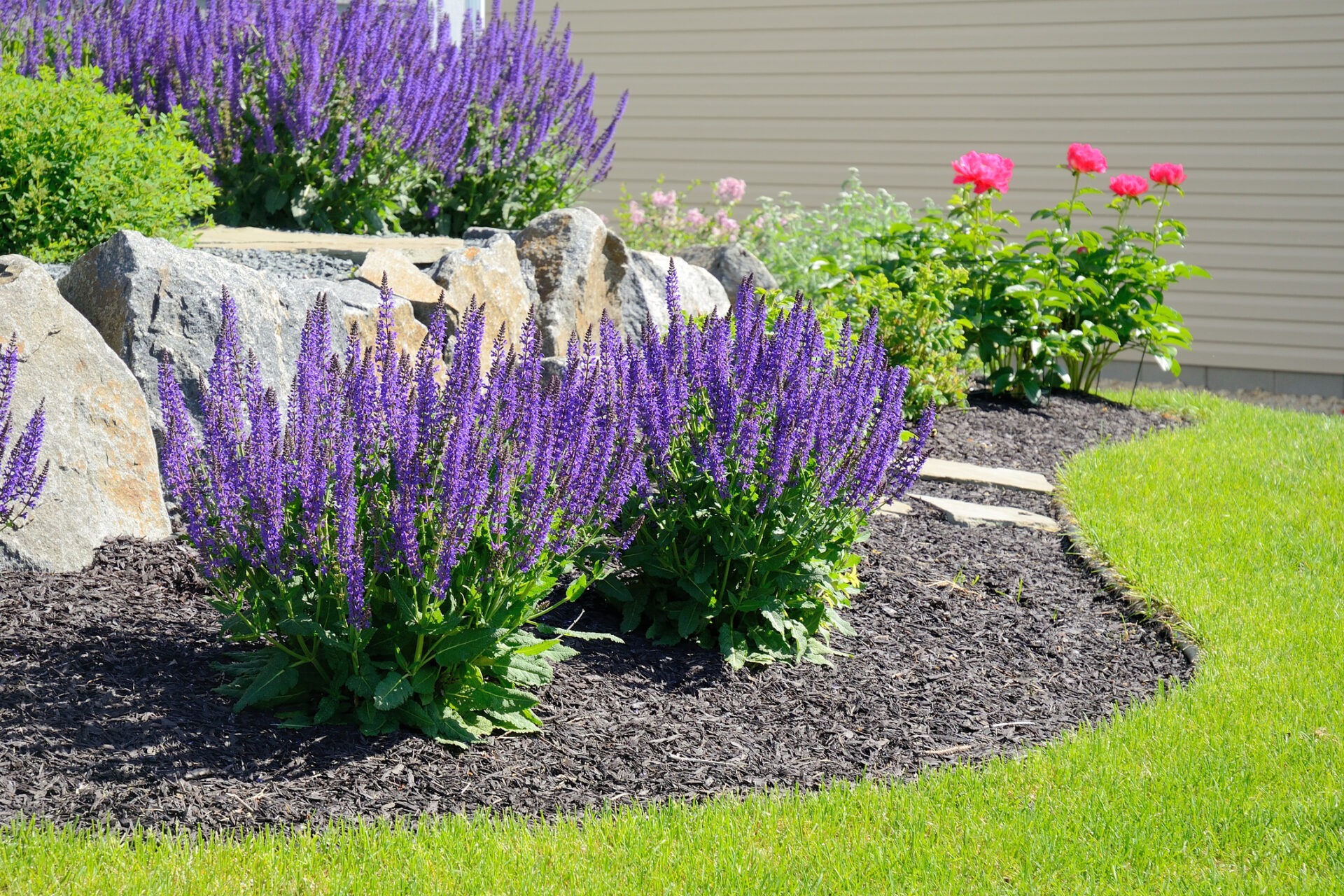 A well-maintained garden features blooming purple and pink flowers, lush green grass, and decorative rocks in a landscaped setting.