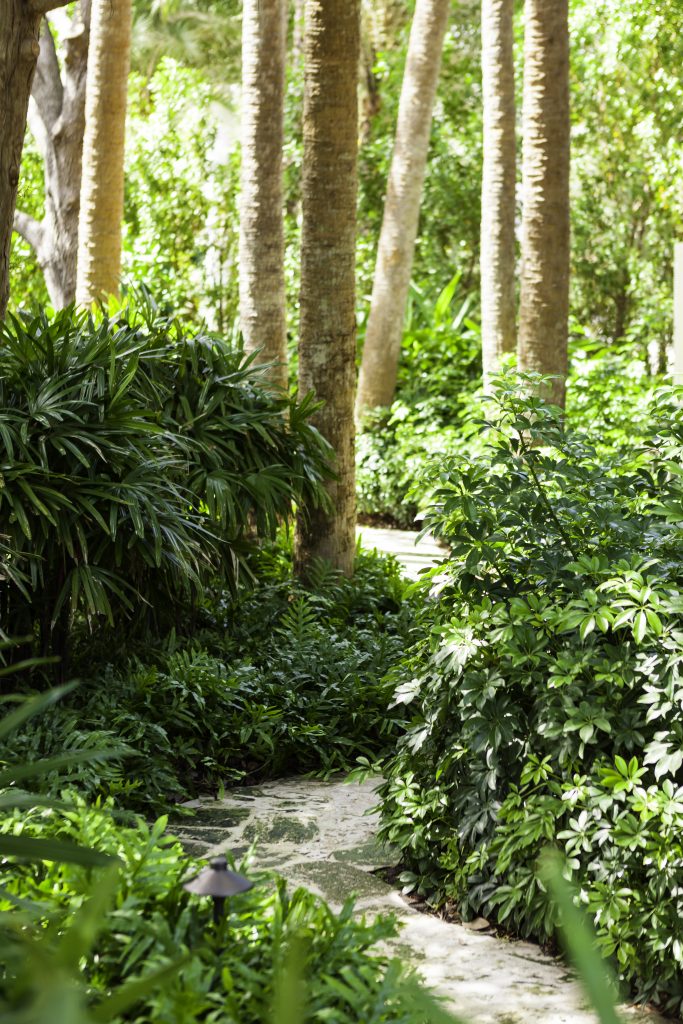 A lush garden features tall palm trees and dense greenery, with a narrow stone path winding through vibrant foliage, illuminated by sunlight.