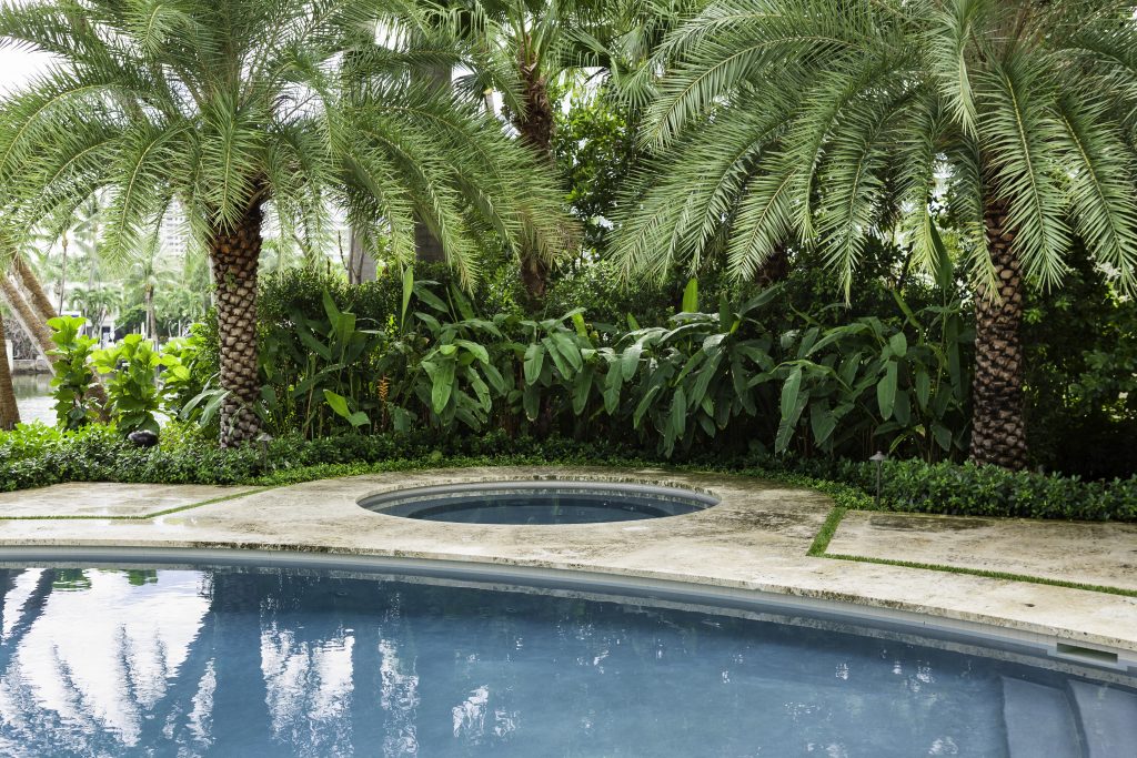 Tropical poolside scene with a circular spa, surrounded by lush palm trees and greenery, reflecting tranquility and relaxation in a serene garden setting.