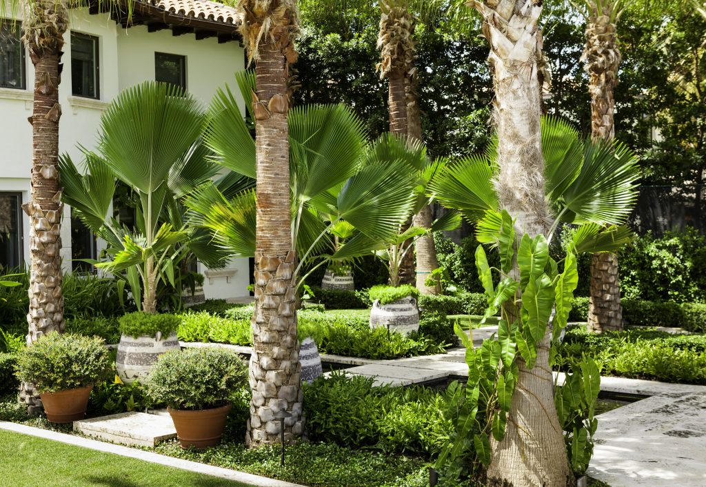 Lush tropical garden with palm trees and vibrant greenery surrounds a white building, featuring terracotta planters and tiled roof accents.