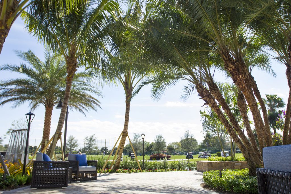 Sunny outdoor patio with wicker furniture and palm trees. Clear blue sky and green landscape in the background create a tranquil atmosphere.