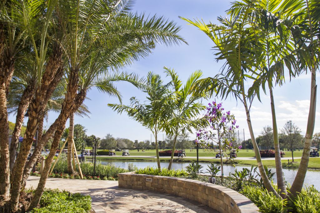 Lush tropical landscape with palm trees, vibrant flowers, and a tranquil pond. People drive golf carts across a well-manicured golf course.