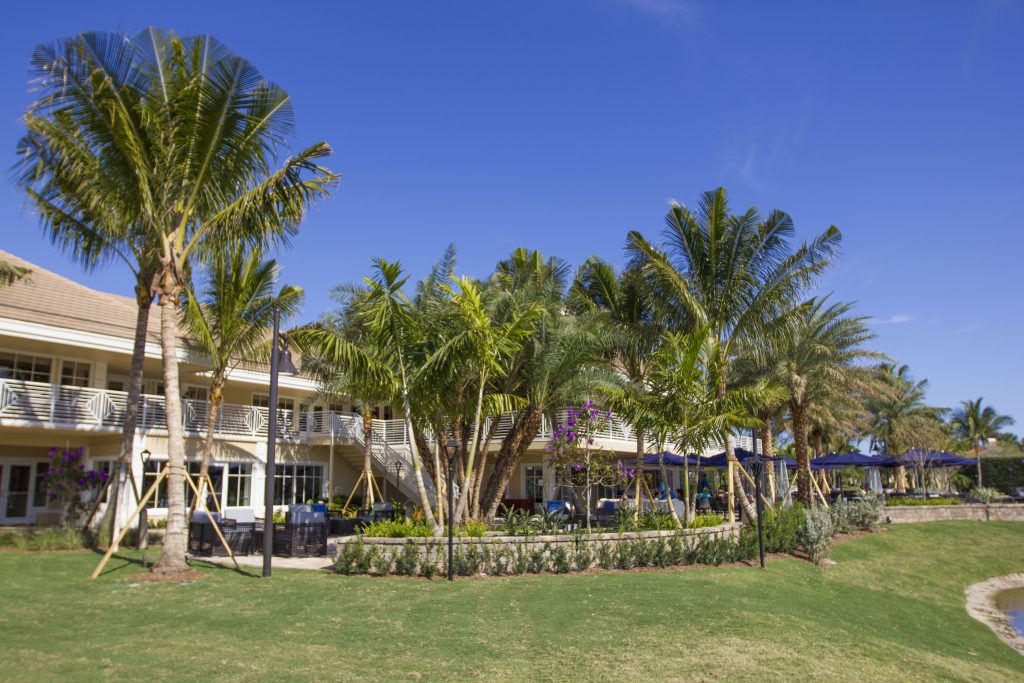 A resort surrounded by palm trees under a clear blue sky. Outdoor seating area with tables and umbrellas on a neatly landscaped lawn.