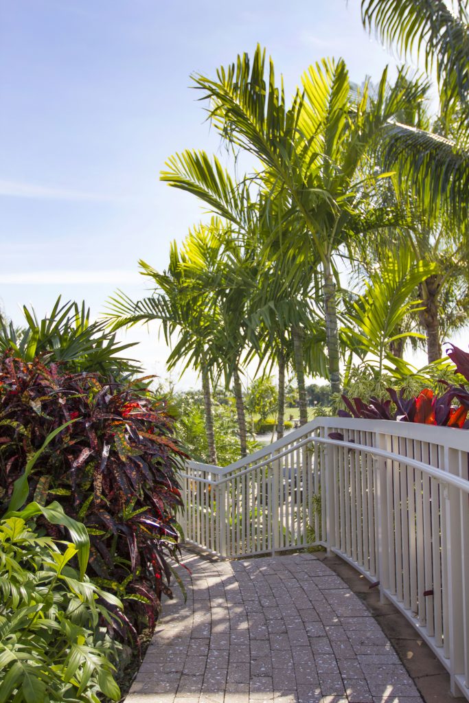 A sunny pathway leads through lush tropical plants and palm trees, bordered by a white fence, under a bright blue sky.