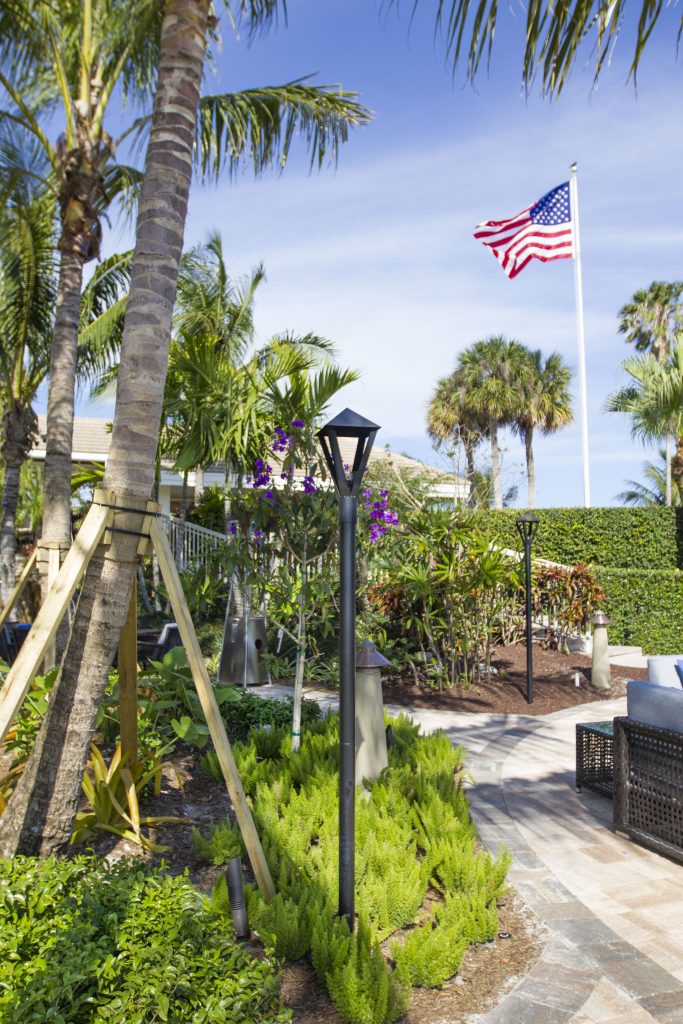 Lush, tropical garden with palm trees, a pathway, and an American flag waving. Outdoor seating and vibrant plants create a serene atmosphere.