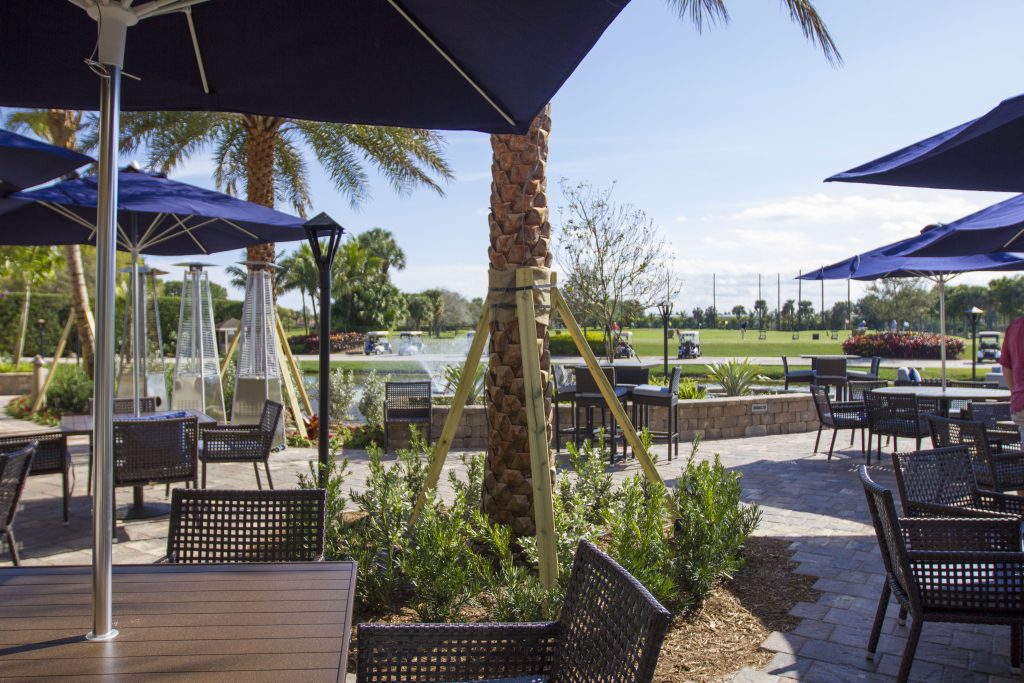 Outdoor patio with wicker chairs and blue umbrellas. Palm trees and a fountain are visible, with people in the distance enjoying a sunny day.